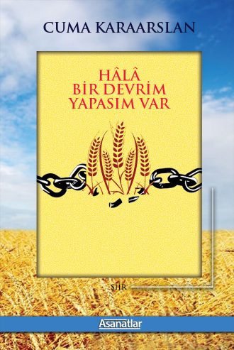 Hala Bir Devrim Yapasım Var